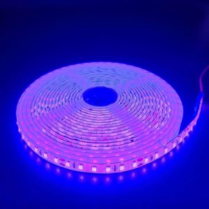 Lilla 10W/m LED strip - 5m, 120 LED pr. meter, 24V, IP65 - Farve : Lilla