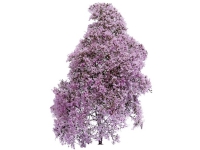 Busch 3587 Busk Forår Lilla, Blomstrende