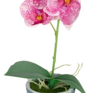 Kunstig Orkidé - Højde på 26 cm - Flotte lilla blomster - Kunstig potteplante