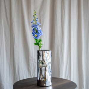 Ridderspore Blomst - Lilla