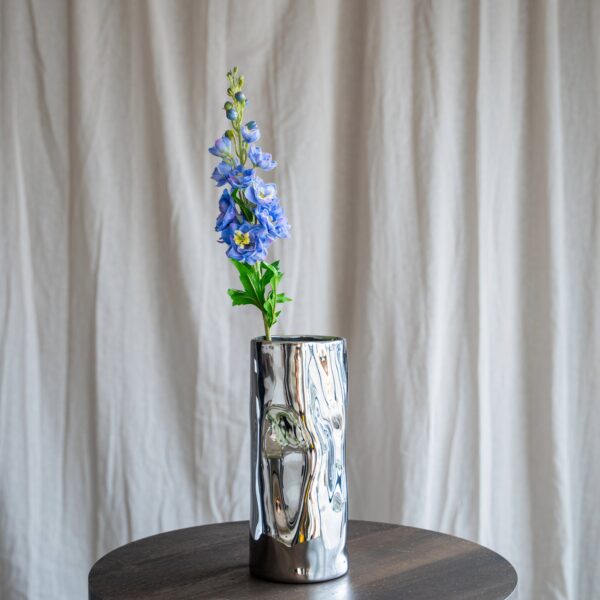 Ridderspore Blomst - Lilla