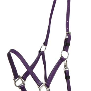 Zilco Deluxe Endurance grime - Lilla, Araber
