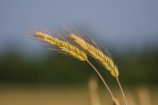 Fremtidens løsninger for dækning stabil i landdistrikterne